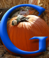 Google Shopping data feed, halloween and Q4 