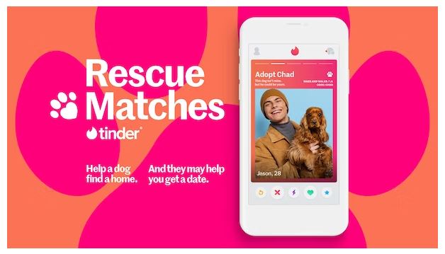 Tinder advertising example for Rescue Matches, matching dogs with users