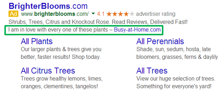 AdWords Extensions Guide Review Example