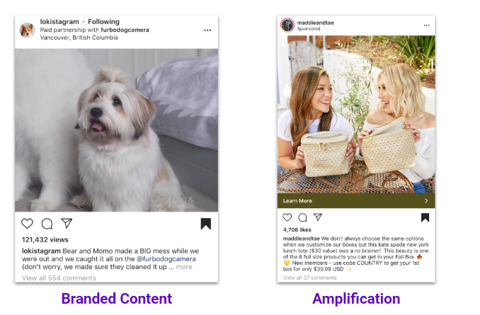 branded vs amplification influencer content new