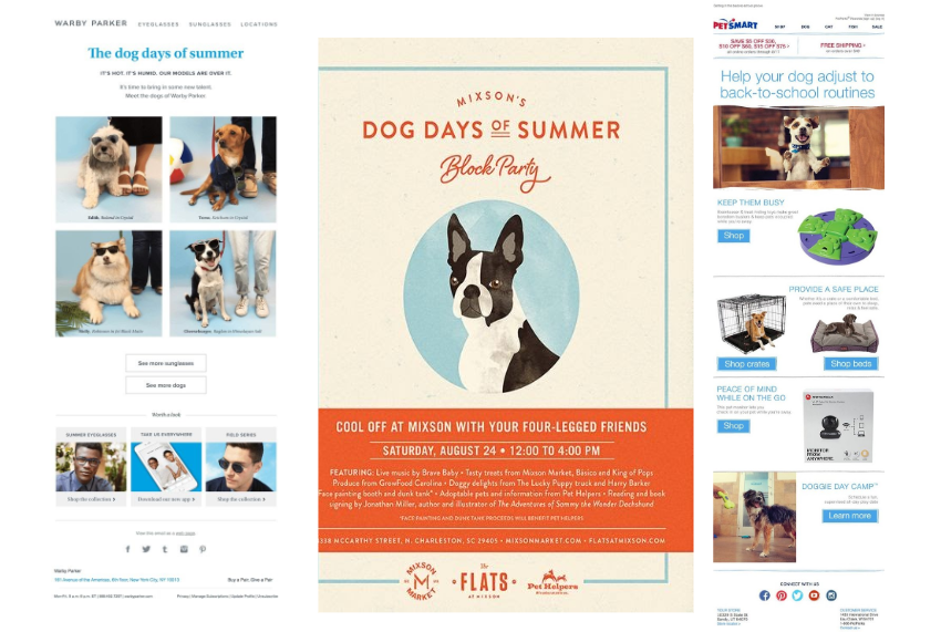 dog days of summer email promotion