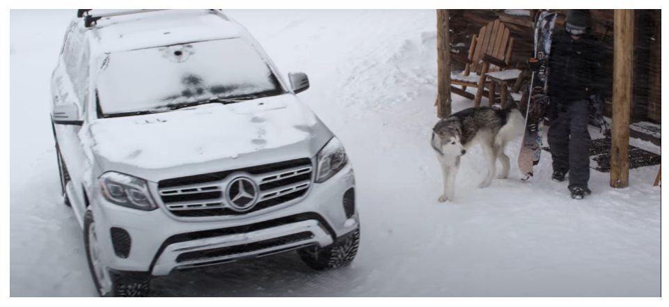 Influencer Loki the wolfdog next to Mercedes SUV in the snow