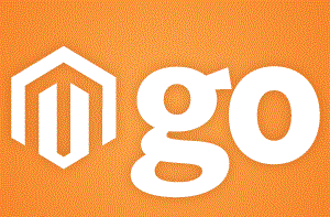 magento-review-logo