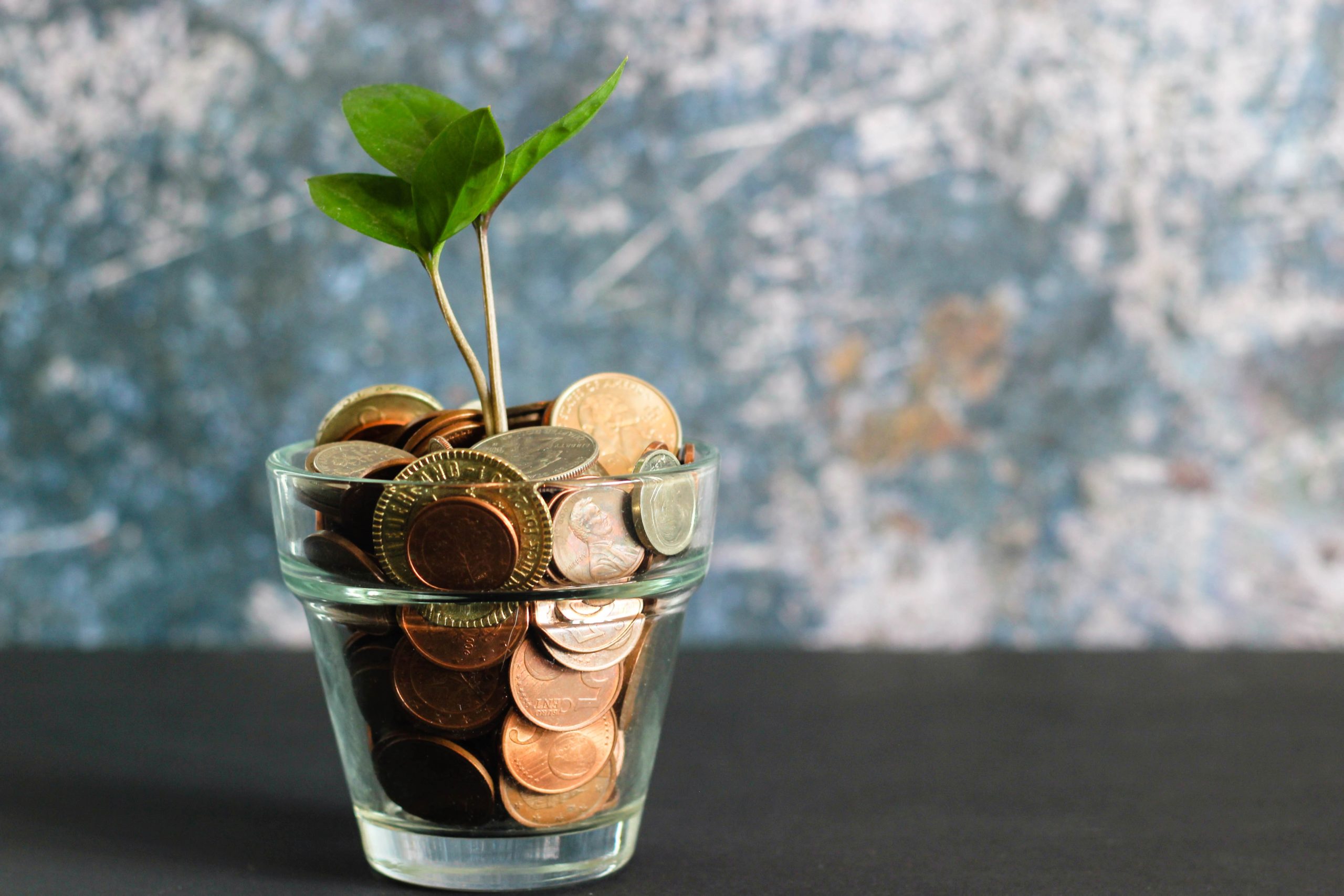 loose change in a small glass planter with plant