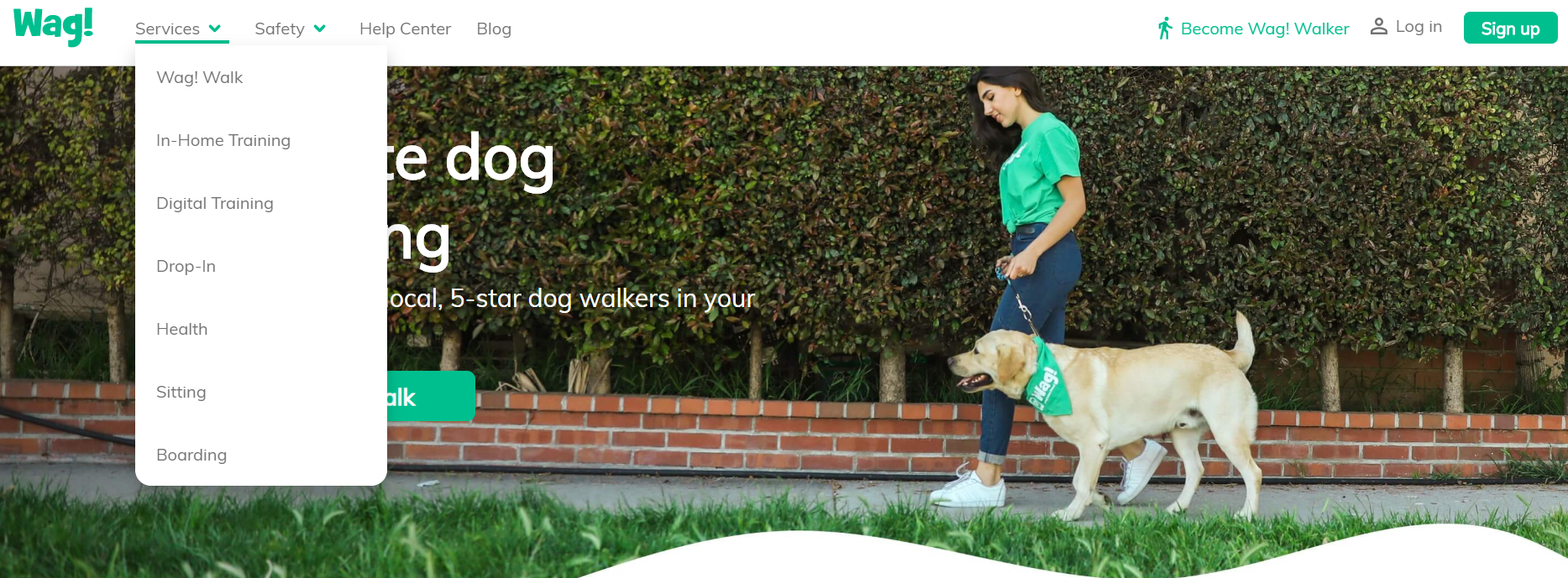 wag dog walking