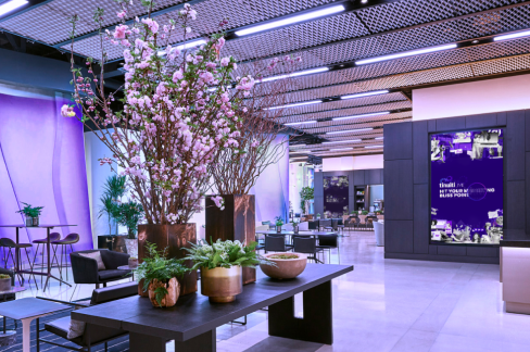 TL24-ONE FIVE ONE-asset