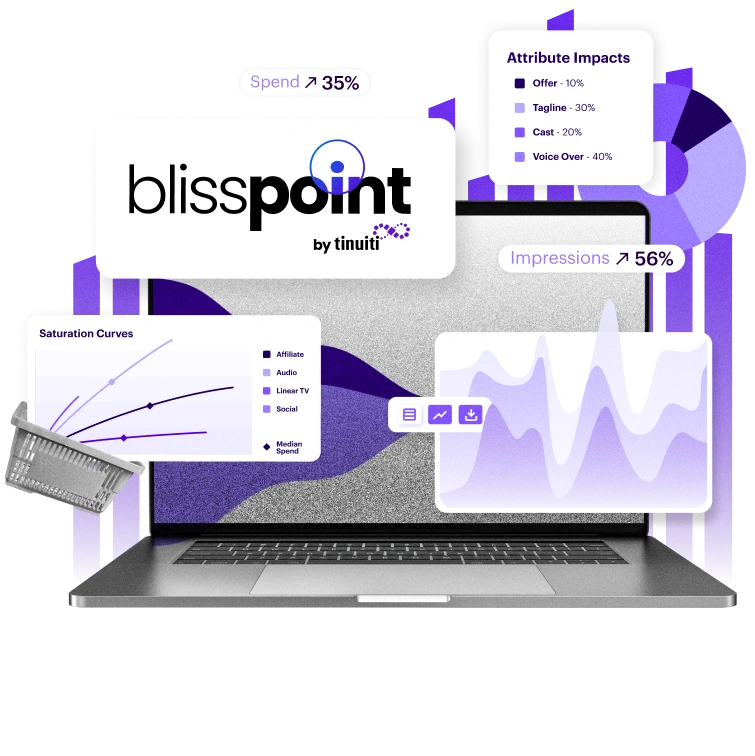 Bliss Point by Tinuiti graphic of laptop and data