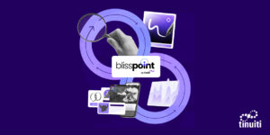 Bliss Point by Tinuiti graphic