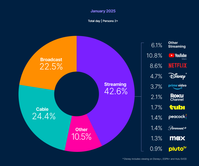 January 2025 Nielsen Gauge (pie chart)