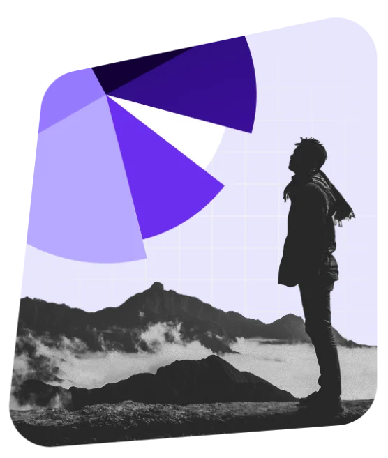 person looking at pie chart