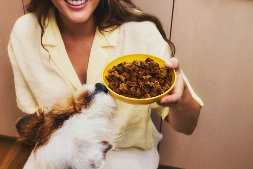 full moon pet food bowl