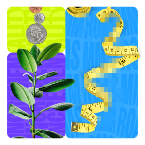 colorful collage featuring money, tape measure, plant