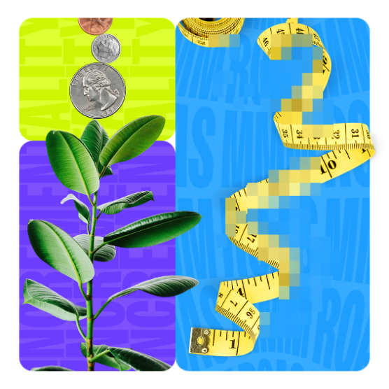 colorful collage featuring money, tape measure, plant
